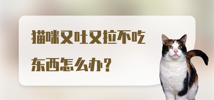 猫咪又吐又拉不吃东西怎么办？