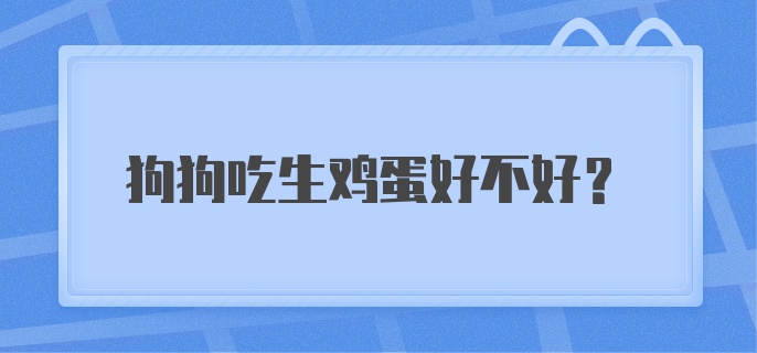 狗狗吃生鸡蛋好不好?