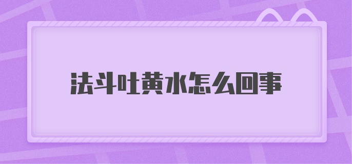 法斗吐黄水怎么回事