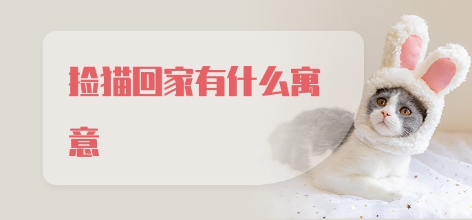 捡猫回家有什么寓意