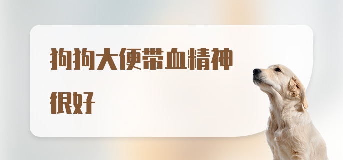 狗狗大便带血精神很好