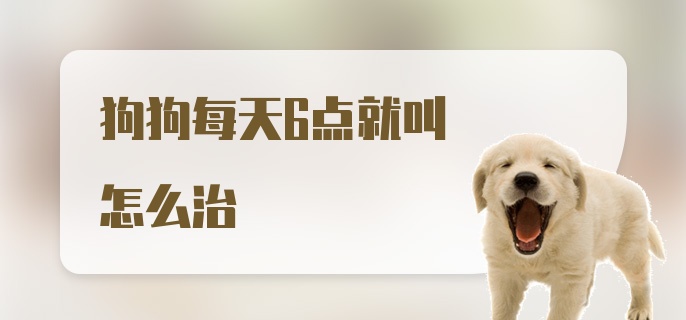 狗狗每天6点就叫怎么治