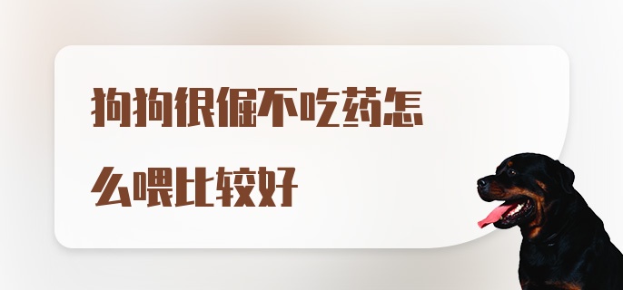 狗狗很倔不吃药怎么喂比较好