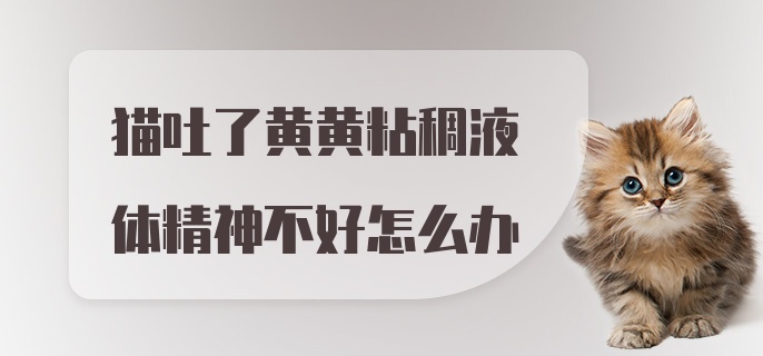 猫吐了黄黄粘稠液体精神不好怎么办