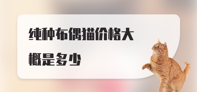 纯种布偶猫价格大概是多少