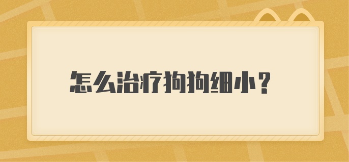 怎么治疗狗狗细小？