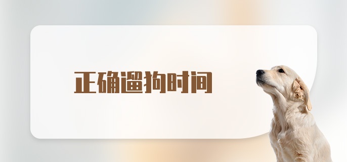 正确遛狗时间