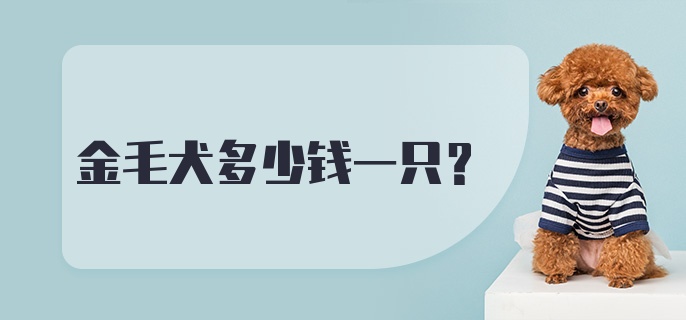 金毛犬多少钱一只？