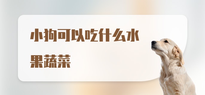 小狗可以吃什么水果蔬菜