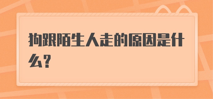 狗跟陌生人走的原因是什么？