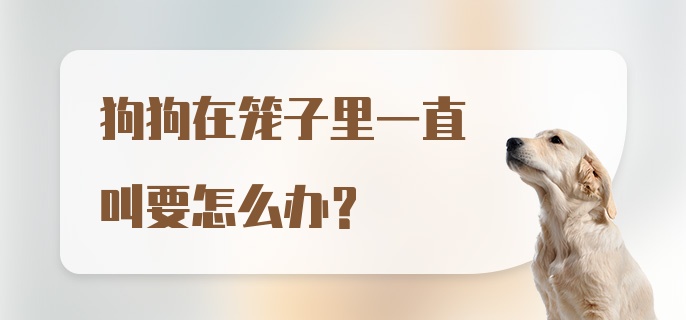 狗狗在笼子里一直叫要怎么办？