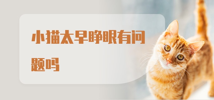 小猫太早睁眼有问题吗