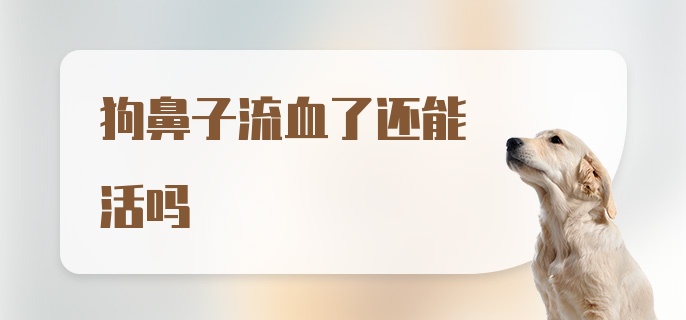 狗鼻子流血了还能活吗