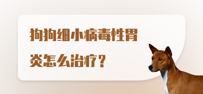 狗狗细小病毒性胃炎怎么治疗？