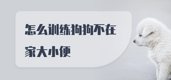 怎么训练狗狗不在家大小便