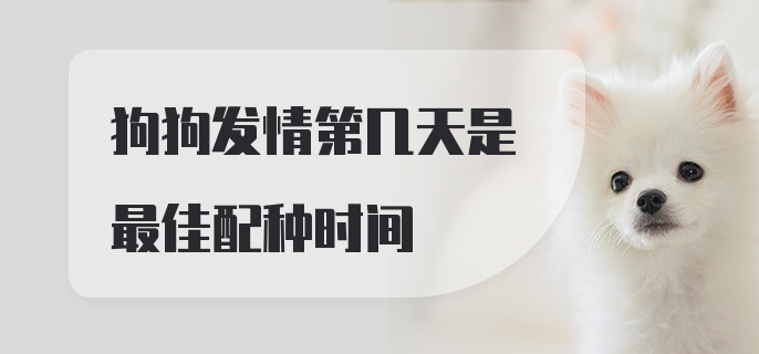 狗狗发情第几天是最佳配种时间