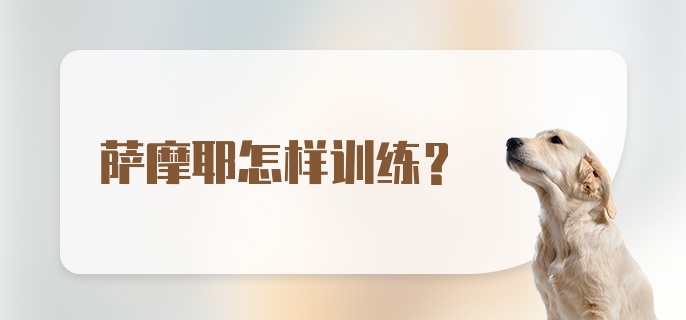 萨摩耶怎样训练？