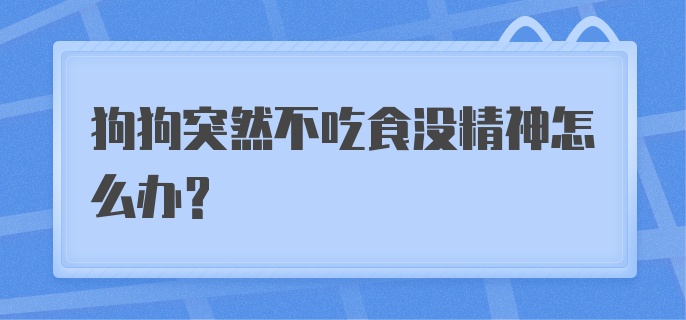 狗狗突然不吃食没精神怎么办？