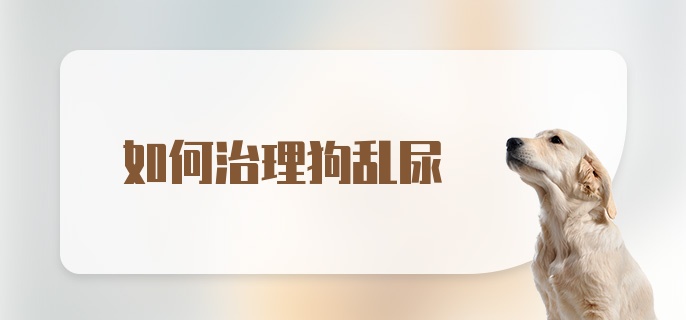 如何治理狗乱尿