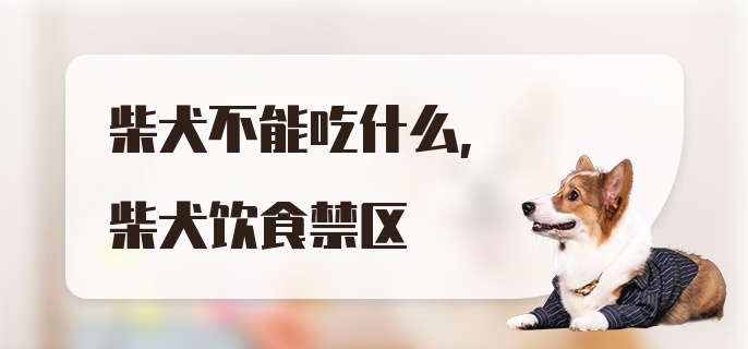 柴犬不能吃什么，柴犬饮食禁区