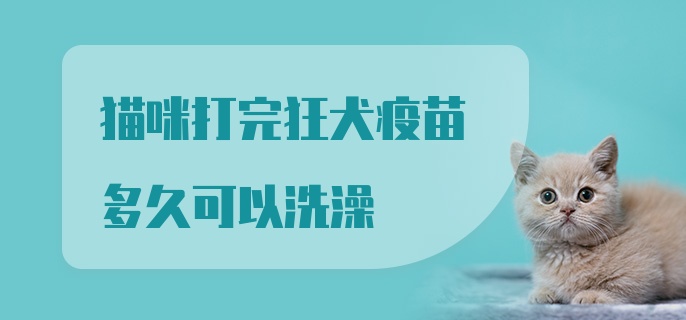 猫咪打完狂犬疫苗多久可以洗澡