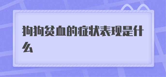 狗狗贫血的症状表现是什么