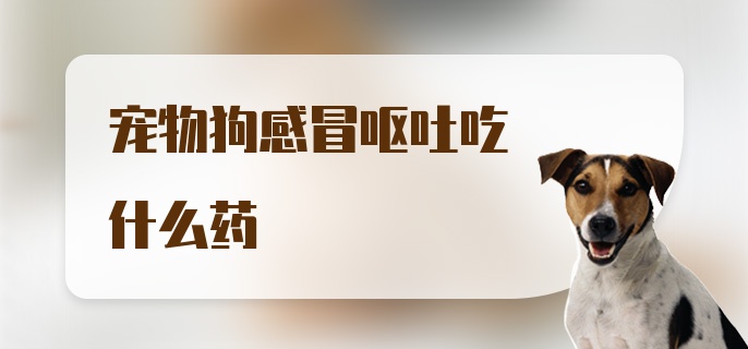 宠物狗感冒呕吐吃什么药