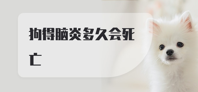 狗得脑炎多久会死亡