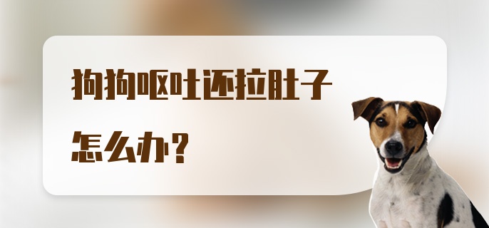 狗狗呕吐还拉肚子怎么办？