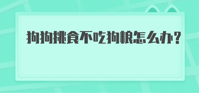 狗狗挑食不吃狗粮怎么办？