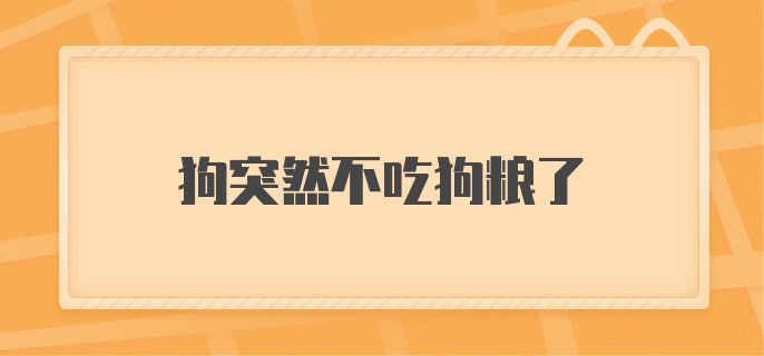 狗突然不吃狗粮了