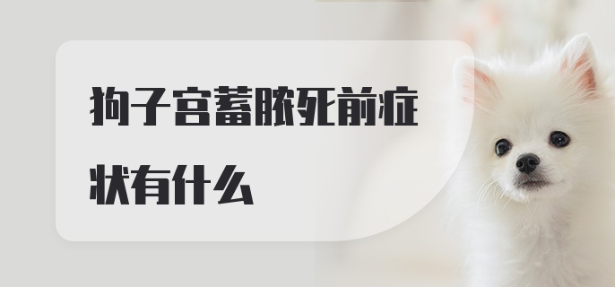 狗子宫蓄脓死前症状有什么