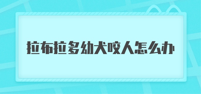 拉布拉多幼犬咬人怎么办