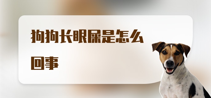 狗狗长眼屎是怎么回事