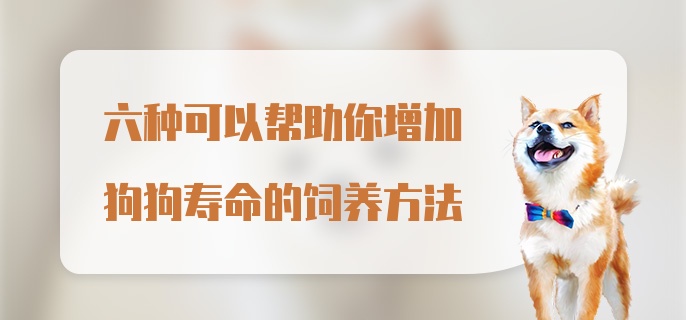 六种可以帮助你增加狗狗寿命的饲养方法