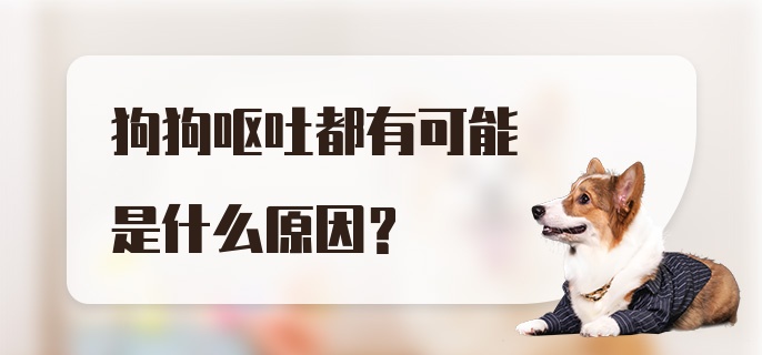 狗狗呕吐都有可能是什么原因?