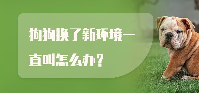 狗狗换了新环境一直叫怎么办？