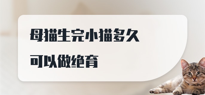 母猫生完小猫多久可以做绝育