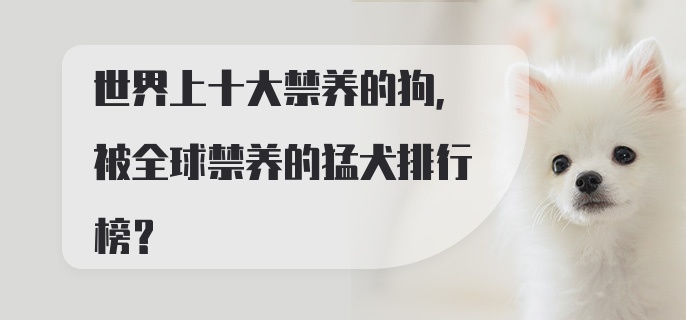 世界上十大禁养的狗，被全球禁养的猛犬排行榜？