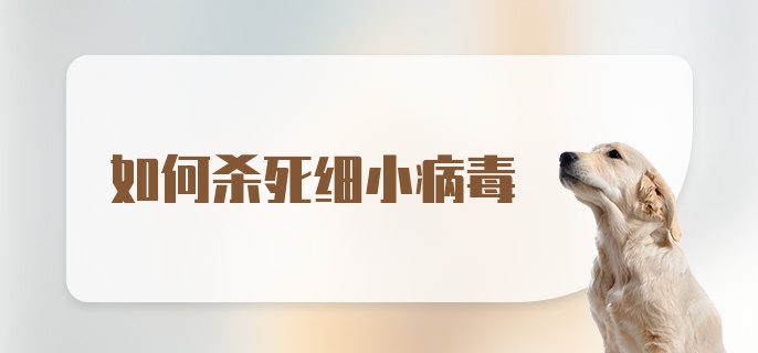 如何杀死细小病毒