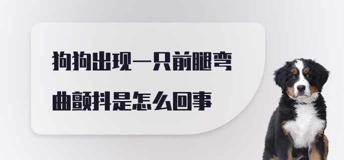 狗狗出现一只前腿弯曲颤抖是怎么回事