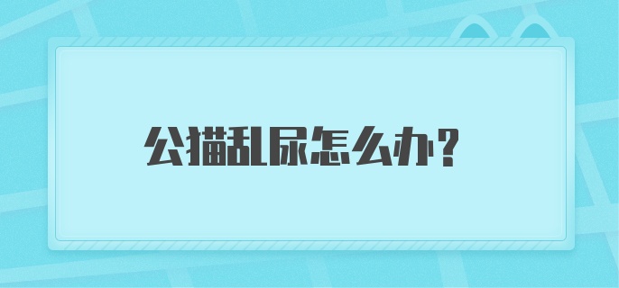 公猫乱尿怎么办？