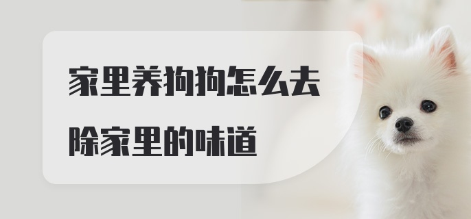 家里养狗狗怎么去除家里的味道