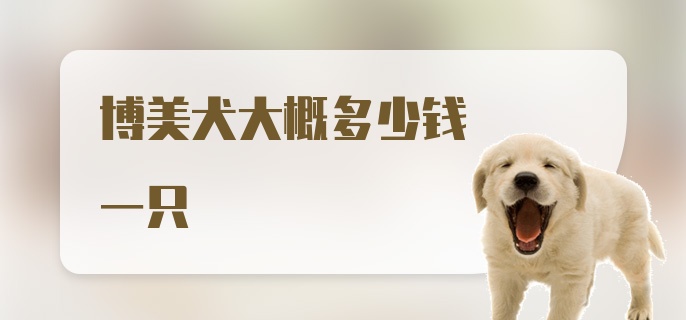 博美犬大概多少钱一只