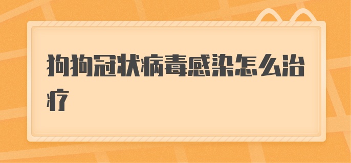 狗狗冠状病毒感染怎么治疗