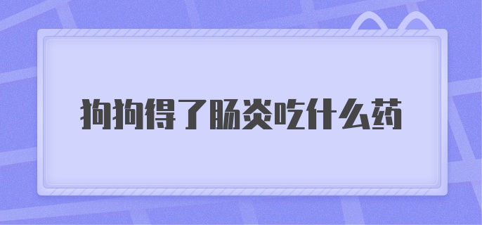 狗狗得了肠炎吃什么药