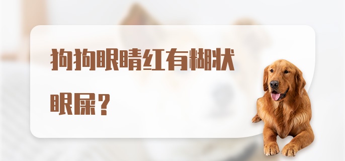 狗狗眼睛红有糊状眼屎？