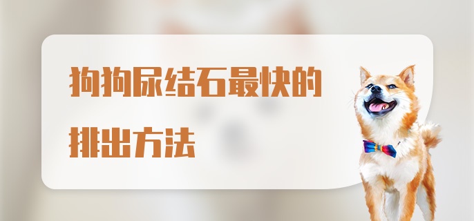 狗狗尿结石最快的排出方法