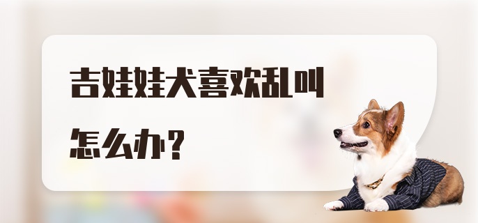 吉娃娃犬喜欢乱叫怎么办？