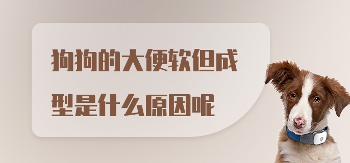 狗狗的大便软但成型是什么原因呢